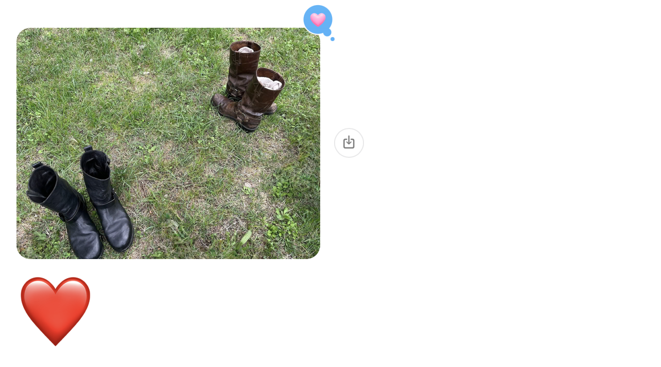 text screenshot
